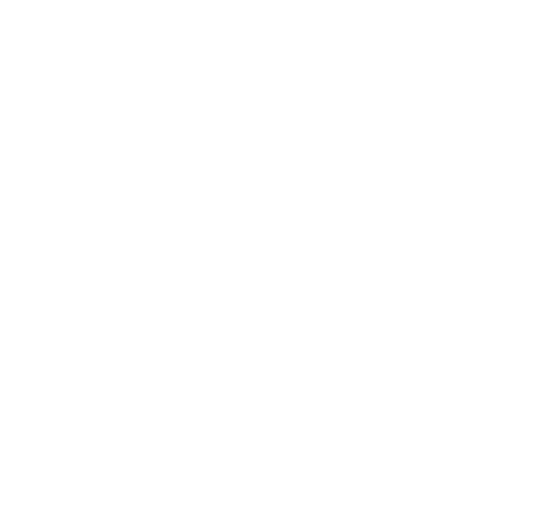 Nashawnabi Shop